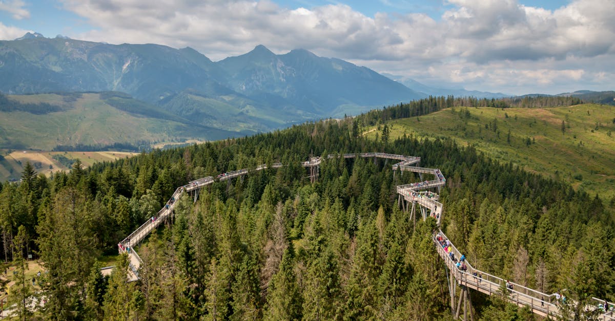 How much does it cost to have a deck cleaned and stained?